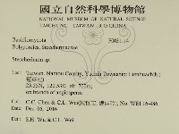 齒耳菌屬藏品圖，第2張