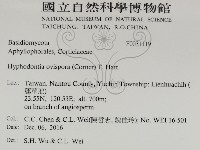 登錄號:F0031119藏品圖，第2張