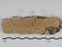 登錄號:F0031119藏品圖，第1張
