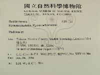 木層孔菌屬藏品圖，第2張