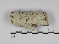 登錄號:F0031123藏品圖，第1張