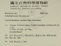 登錄號:F0031124藏品圖，第2張