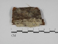 登錄號:F0031124藏品圖，第1張