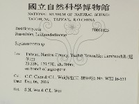 登錄號:F0031125藏品圖，第2張