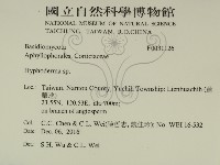 絲皮菌屬藏品圖，第2張