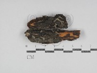 登錄號:F0031127藏品圖，第1張