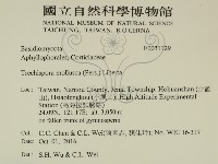 登錄號:F0031129藏品圖，第2張