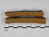 登錄號:F0031130藏品圖，第1張
