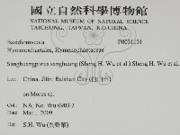 桑黃藏品圖，第2張