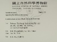 登錄號:F0031132藏品圖，第2張