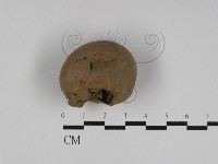 登錄號:F0031134藏品圖，第1張