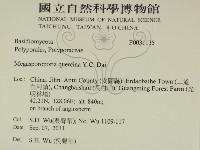 登錄號:F0031135藏品圖，第2張