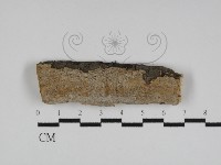 登錄號:F0031135藏品圖，第1張