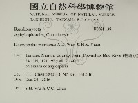 登錄號:F0031139藏品圖，第2張