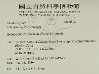 登錄號:F0031140藏品圖，第2張