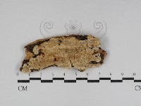 登錄號:F0031140藏品圖，第1張