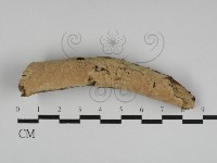 登錄號:F0031142藏品圖，第1張