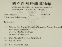 栓菌屬藏品圖，第2張