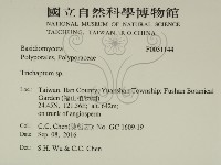 附毛菌屬藏品圖，第2張