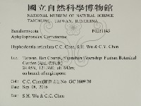 登錄號:F0031145藏品圖，第2張