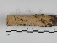 登錄號:F0031147藏品圖，第1張