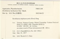 登錄號:F0031149藏品圖，第3張