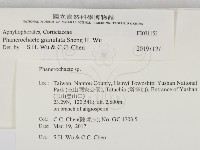 登錄號:F0031152藏品圖，第2張