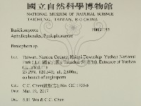 筍殼菌屬藏品圖，第2張