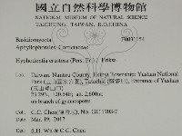 登錄號:F0031154藏品圖，第2張