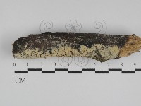 登錄號:F0031154藏品圖，第3張