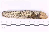 登錄號:F0031154藏品圖，第1張