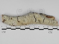 登錄號:F0031155藏品圖，第1張