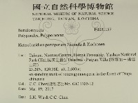 登錄號:F0031157藏品圖，第2張