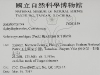 登錄號:F0031159藏品圖，第2張