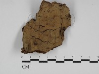 登錄號:F0031159藏品圖，第1張