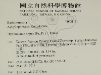 登錄號:F0031161藏品圖，第2張