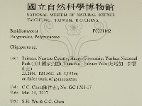 寡孔菌屬藏品圖，第2張