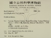 絲齒菌屬藏品圖，第2張