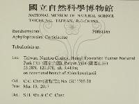 登錄號:F0031165藏品圖，第2張