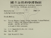 登錄號:F0031167藏品圖，第2張