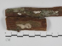 登錄號:F0031167藏品圖，第1張