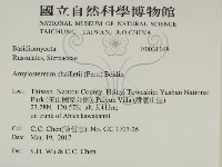 登錄號:F0031168藏品圖，第2張