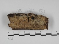登錄號:F0031170藏品圖，第1張