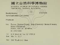 登錄號:F0031171藏品圖，第2張