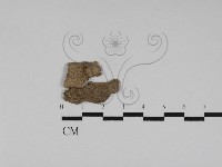 登錄號:F0031171藏品圖，第1張