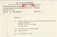 登錄號:F0031171藏品圖，第3張