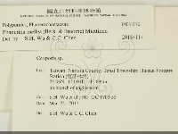 登錄號:F0031172藏品圖，第2張