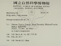 登錄號:F0031173藏品圖，第2張