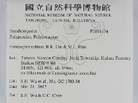 登錄號:F0031174藏品圖，第2張