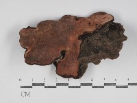 登錄號:F0031174藏品圖，第1張